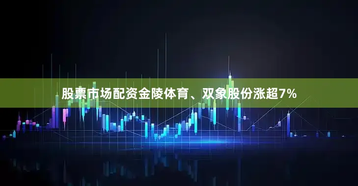 股票市场配资金陵体育、双象股份涨超7%