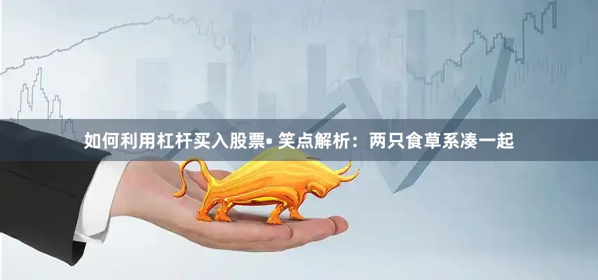 如何利用杠杆买入股票• 笑点解析：两只食草系凑一起