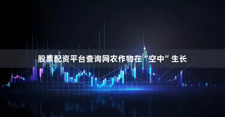 股票配资平台查询网农作物在“空中”生长