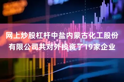 网上炒股杠杆中盐内蒙古化工股份有限公司共对外投资了19家企业